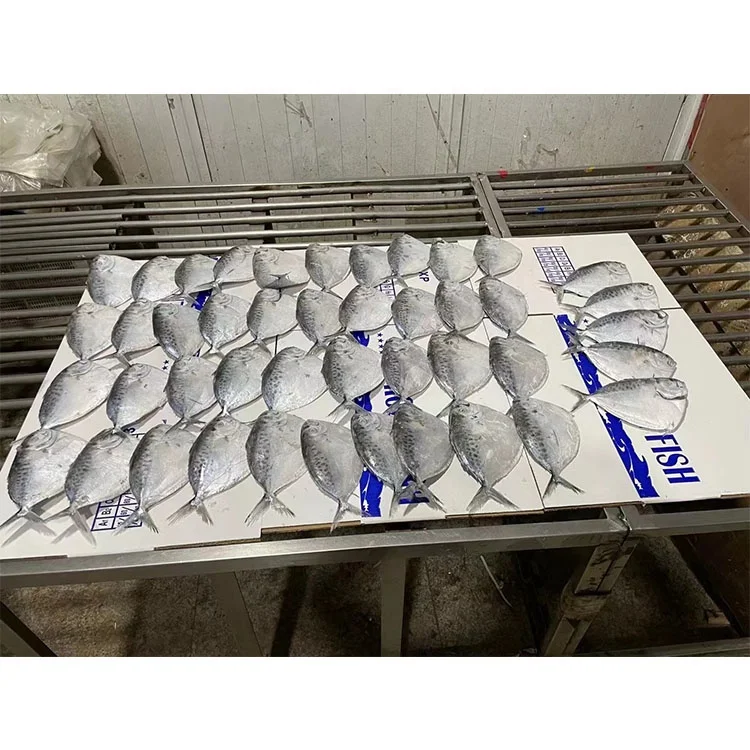 Морепродукты Лунная рыба океан морепродукты Красная Луна