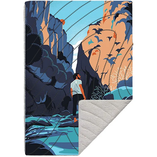 Drop Shipping Custom Airplane Nylon Waterproof Printed Blanket Recycled Puffy Down