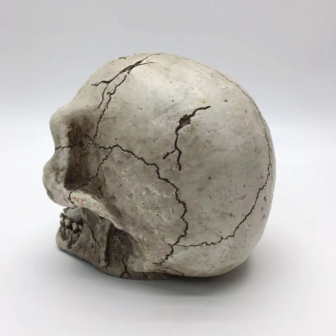 Selling Human Life Size Skeleton Plastic Skeleton Halloween Model