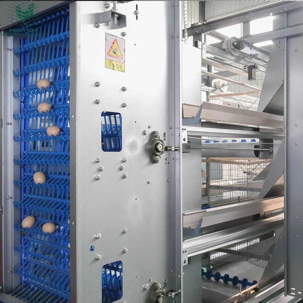 Fully Automatic Poultry Farming Equipment H Type Laying Hens Cage Battery System Egg Layer Chicken Cages