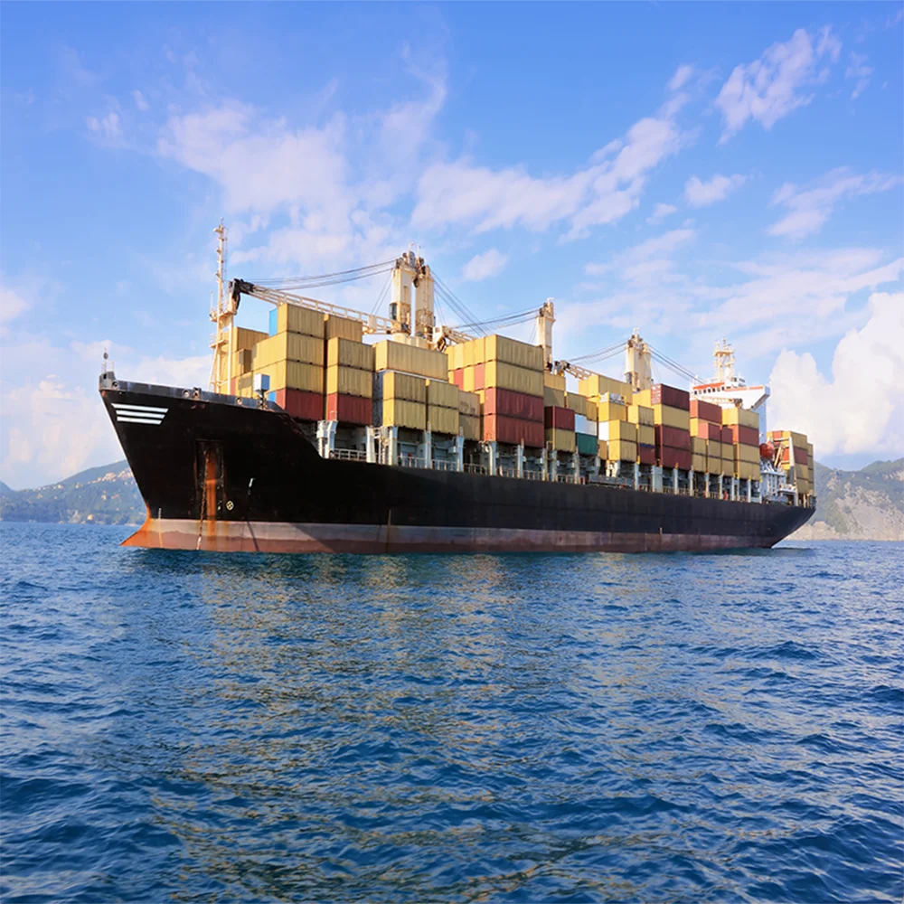 20-футовый контейнер морские перевозки в США Хьюстон из Китая fuzhou xiamen морской экспедитор