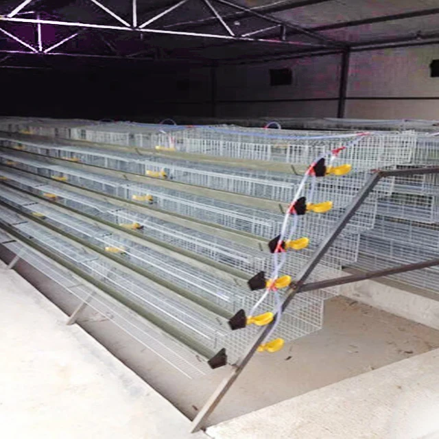 
Poultry farm chicken coop layer chicken cage Quail cages for sale 
