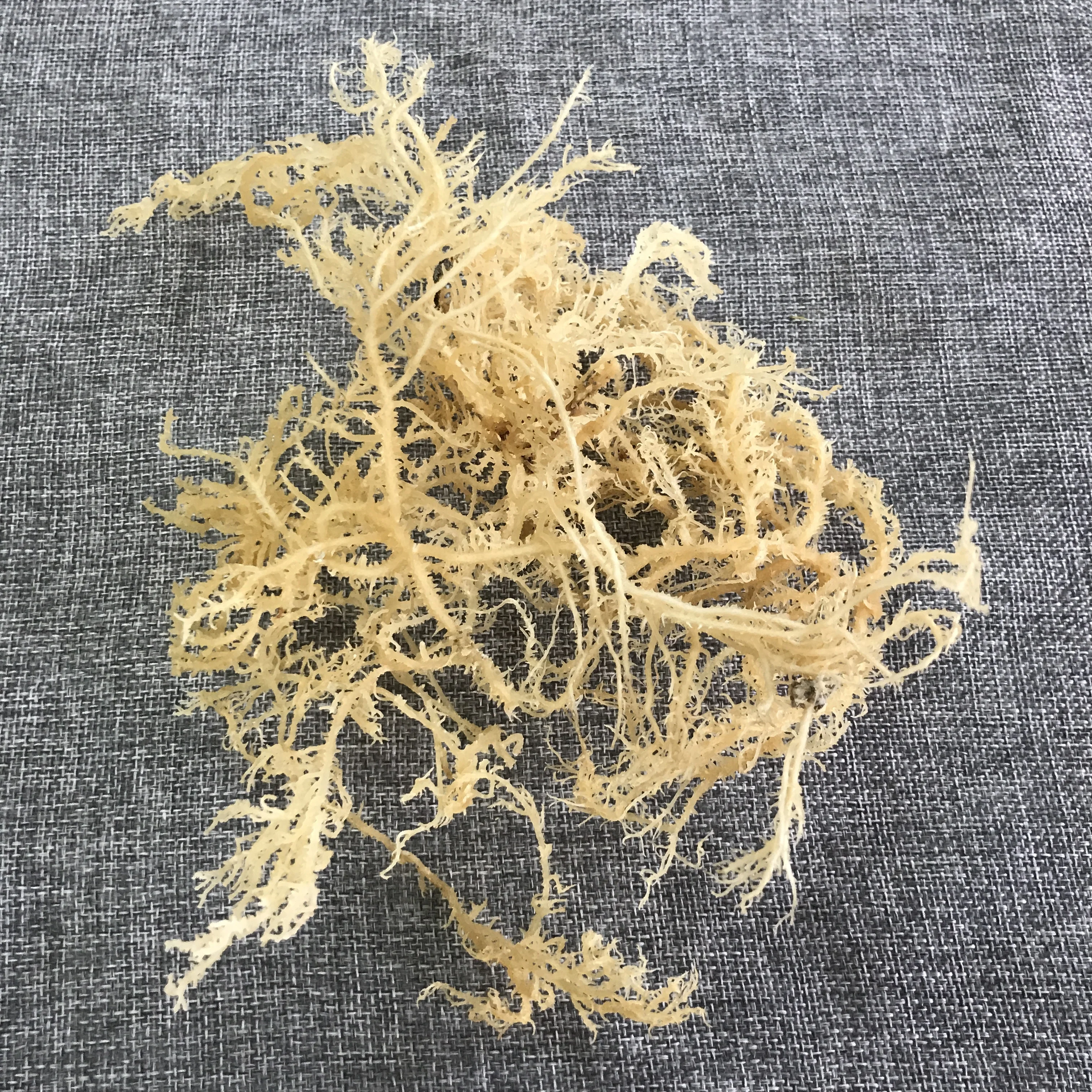 N10 Health natural delicious products dried sea moss for food