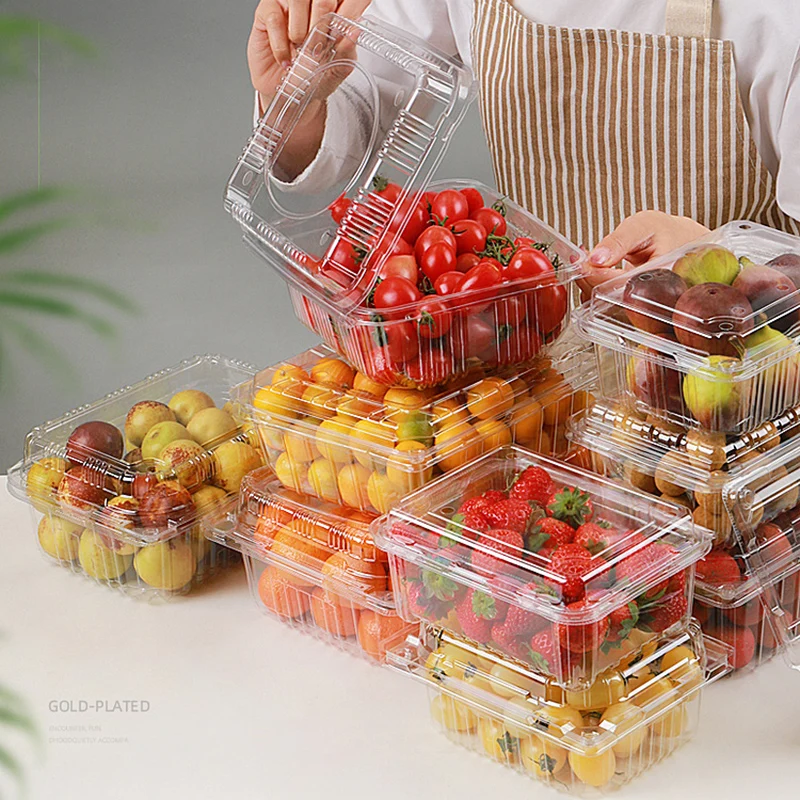 Food Container with Dome Lid Fruit and Salad Packaging Box Transparent PET Plastic Disposable OEM ODM Custom Embossing