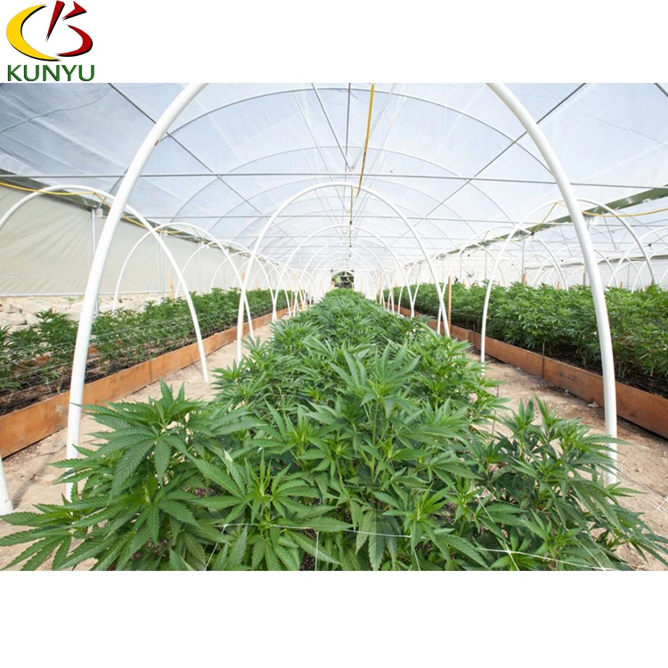 Hemp Growing Greenhouse Commercial Farming Blackout Green House For Sale