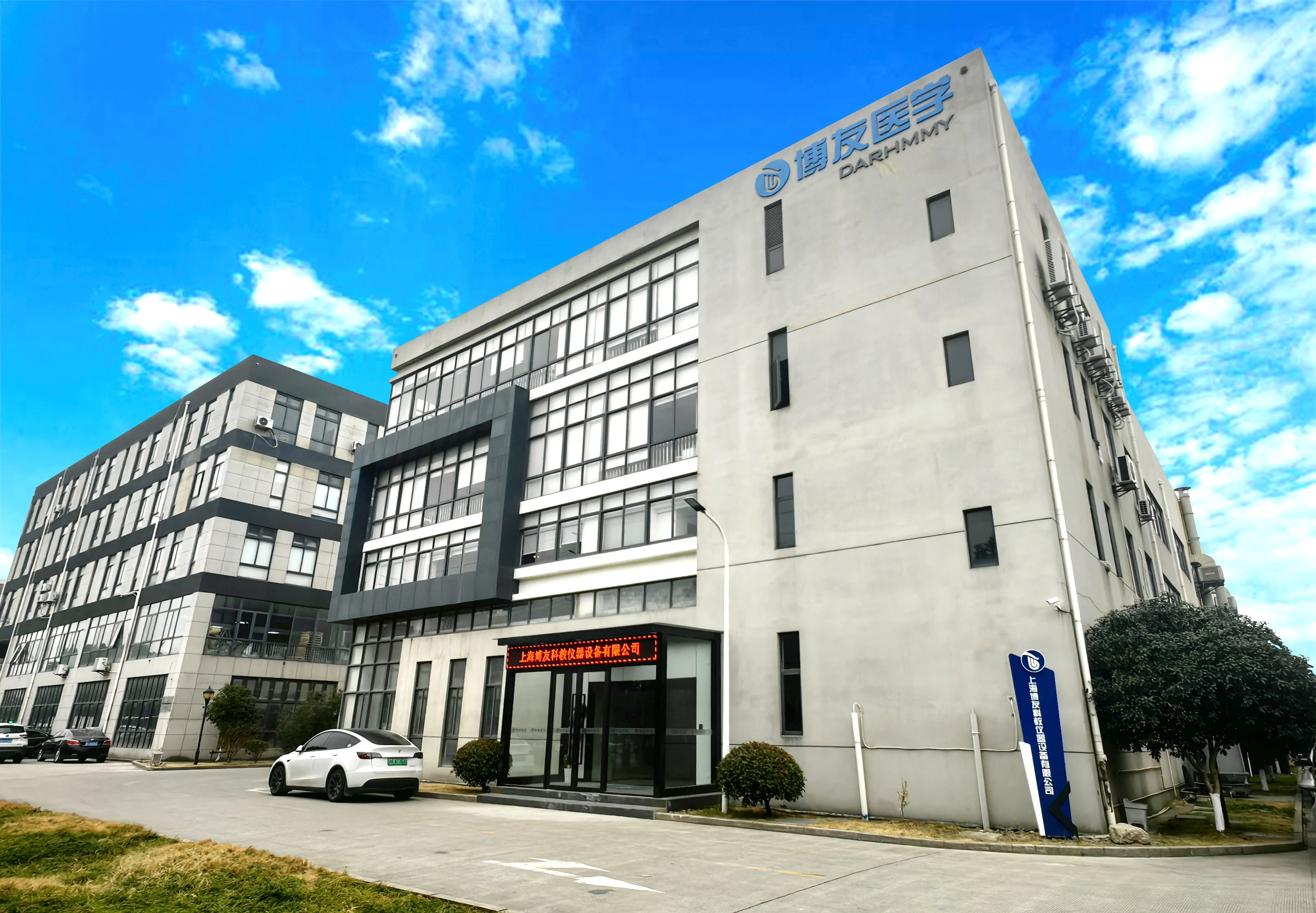 DARHMMY Medical Science Anatomical Type Human Ear Simulation Desktop Model