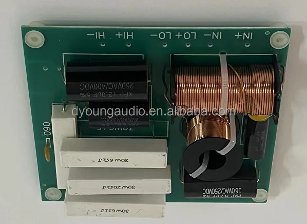 12 inch 2 way woofer and HF driver 600w crossover network