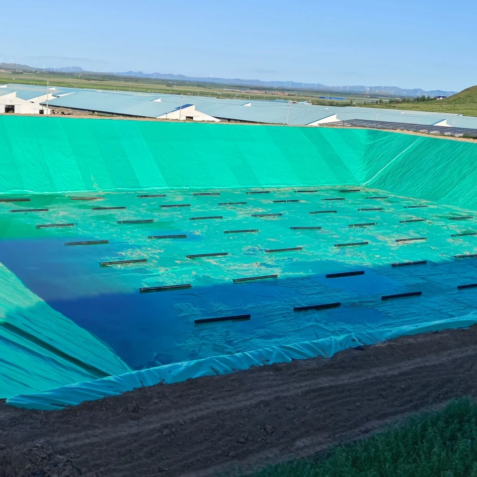 Подгонянный HDPE подводка для рыбной фермы пруд Хвостовая плотина зеленого цвета пруда зеленая геомембрана синяя