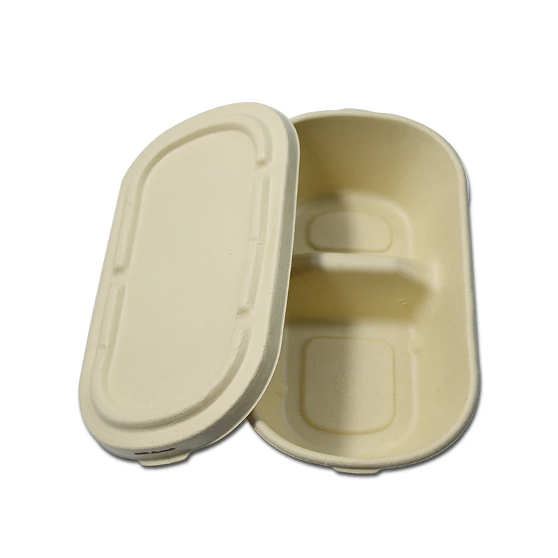 
OEM Food Salad Takeaway Biodegradable Custom Sugarcane Pulp Disposable Paper Lunch Box 