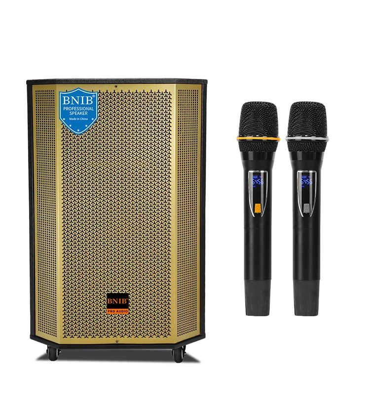 New 2022 Loa Bnib Powered Active Wooden Speakers 10 Inch Woofer Speaker Price Speaker Stage Wireless For Party