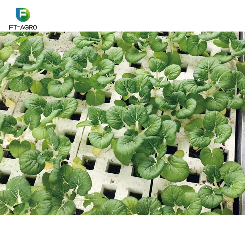 Hydroponic System Vertical Growing Systems PVC Tube For Lettuce And Strawberry