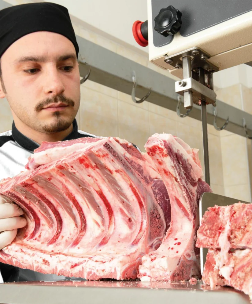 Hot Selling Tungsten Carbide Meat Saws Stainless Steel Band Saw Blade Induction Harden Machine