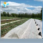 Non woven plant covers protection garden landscape fabric eco - friendly non woven fabric for agricutlure