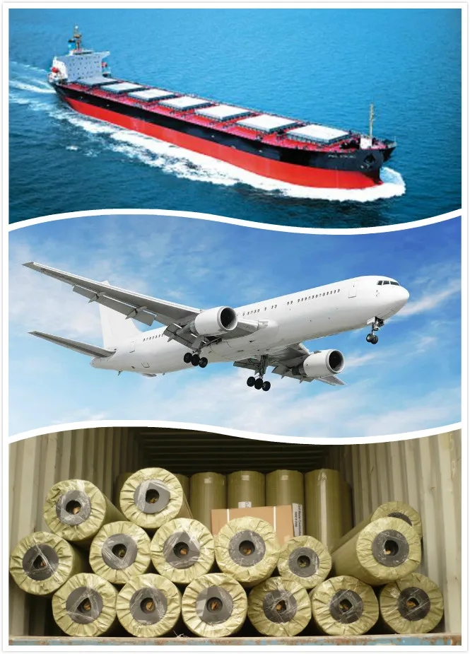 EE5AD6FCC671EAC411E45391C79E121A