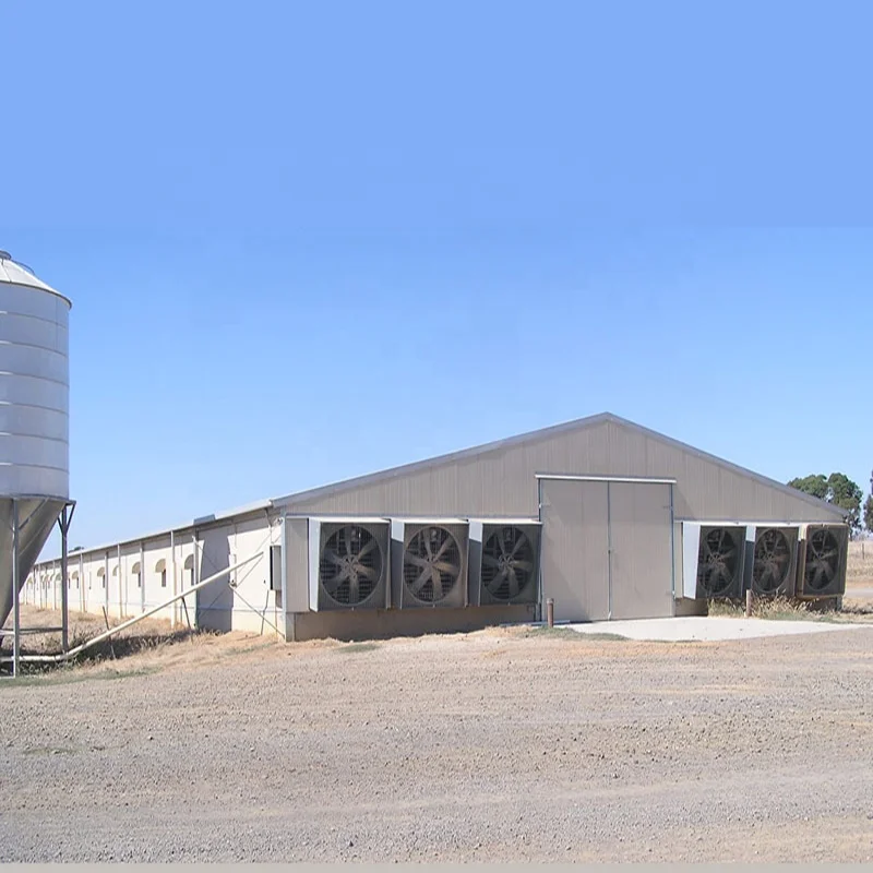 Automatic Poultry Farming System Broiler Layer Chicken Equipment Chicken Livestock Feeder Equipment Automatic Feeding 1.5 Years