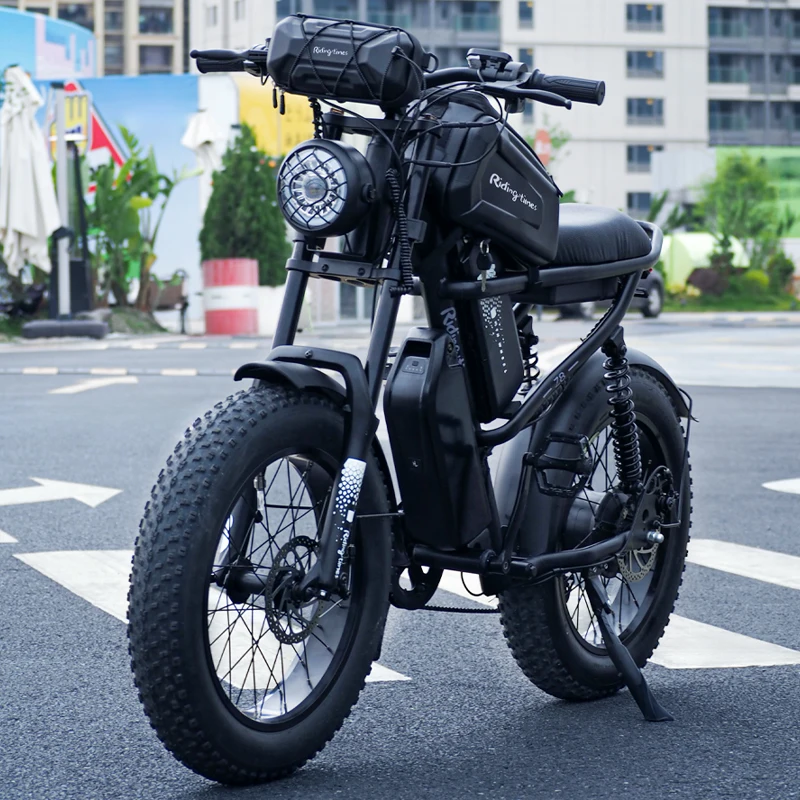 Long Range Electric Bikes Hydraulic Disc Brake 1000W With Dual Single Rear Hub 750W E Bike Mountain Electric Bikes For Adults