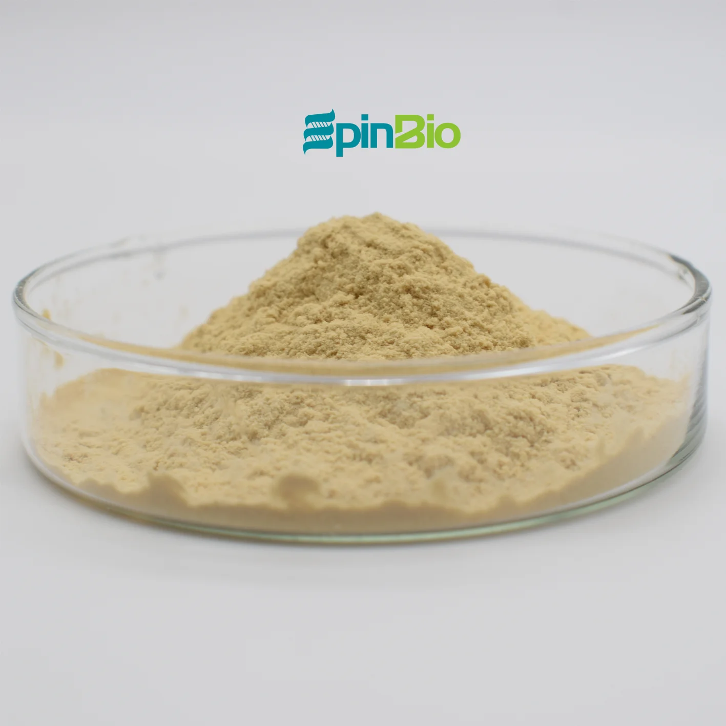 Hot Sell Food Additive Selenium Yeast 2000ppm