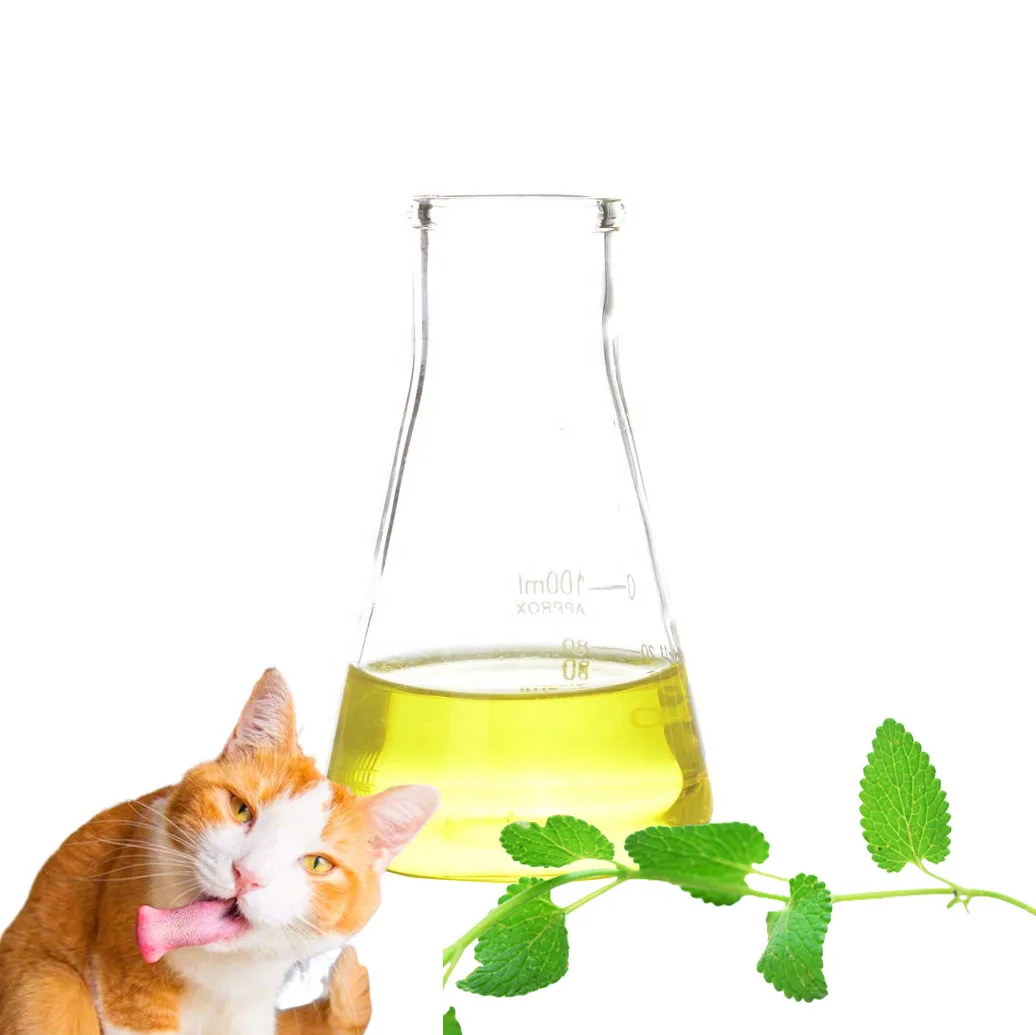 Catnip Oil from Wild Leaves Pure Natural Plant Extract Pharmaceutical Raw Material Bulk Packaged Nepeta Oil