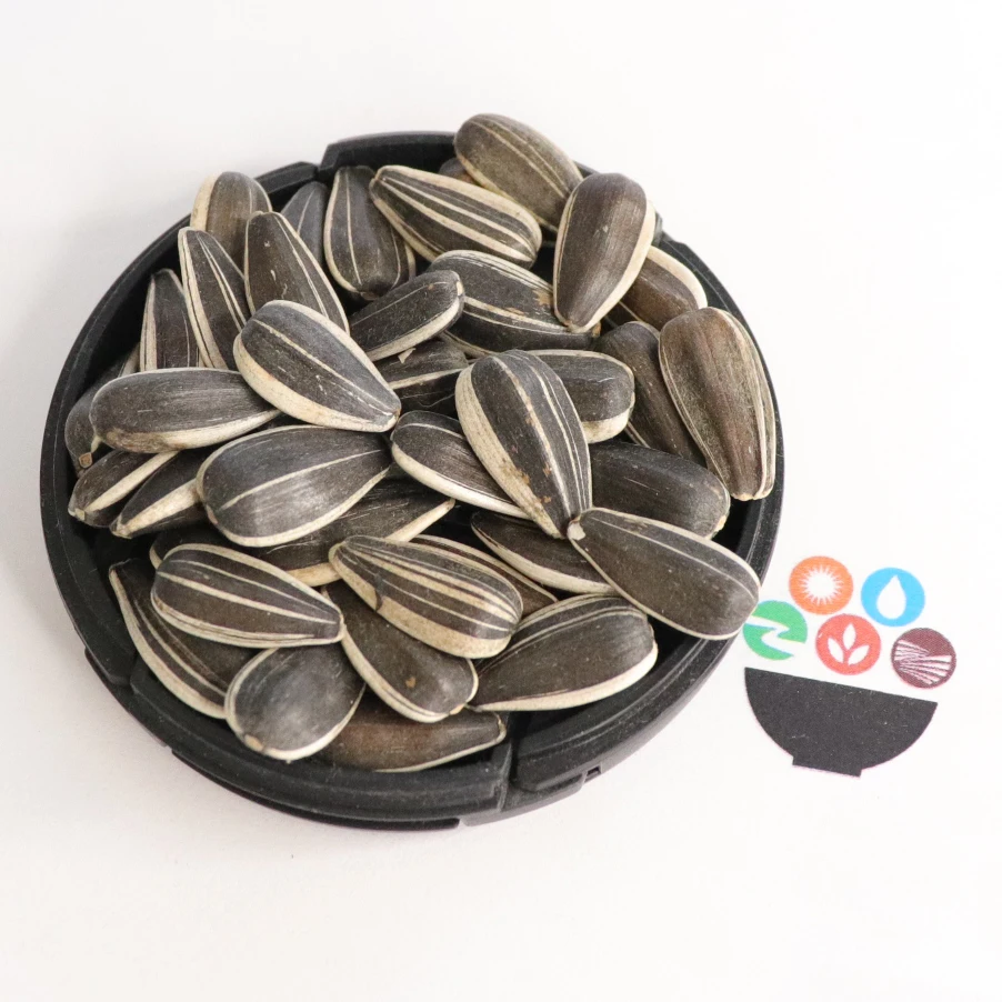 Small Size Mei Ren Xin Sunflower Heart Seed With Shell Sunflower Seeds For Birds