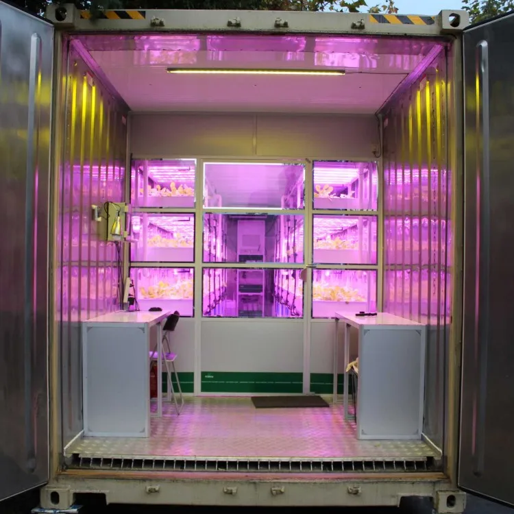 Container Farming Smart Indoor Farm Vertical Hydroponics System Small Plant Factory