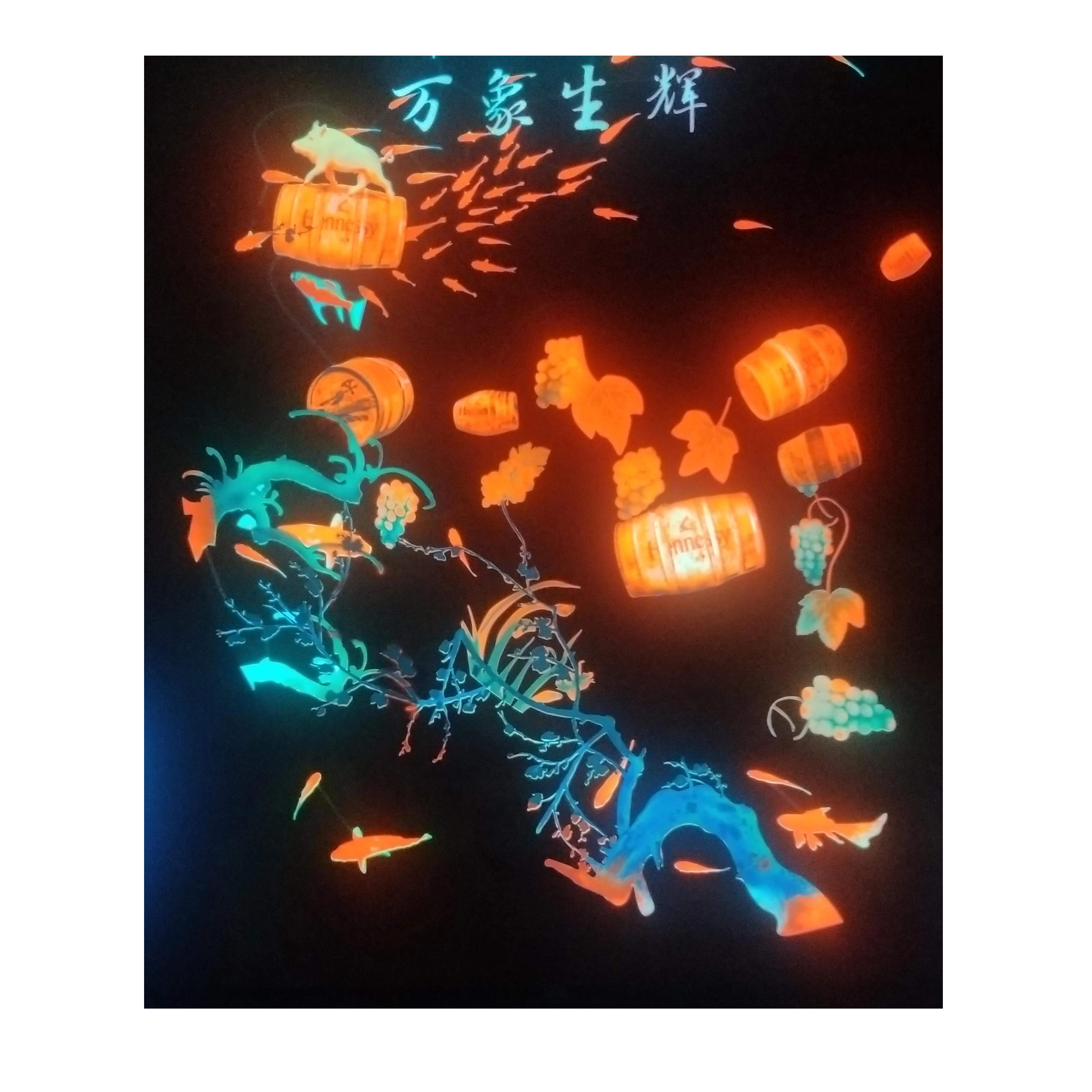 Popular Poster High Brightness Long Lifetime OEM Service EL Panel Making Technolog