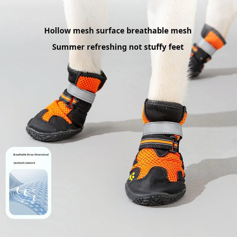Luxury English Color Contrast Dog Sports Shoes for Medium to Large Dogs Fashionable and Functional Pet Footwear