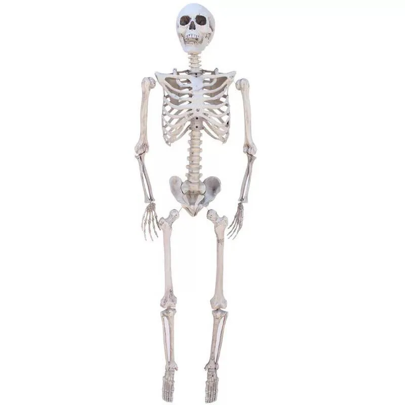 Halloween new Horror Bar Haunted House Secret Room Decoration Props Skeleton For Halloween Party