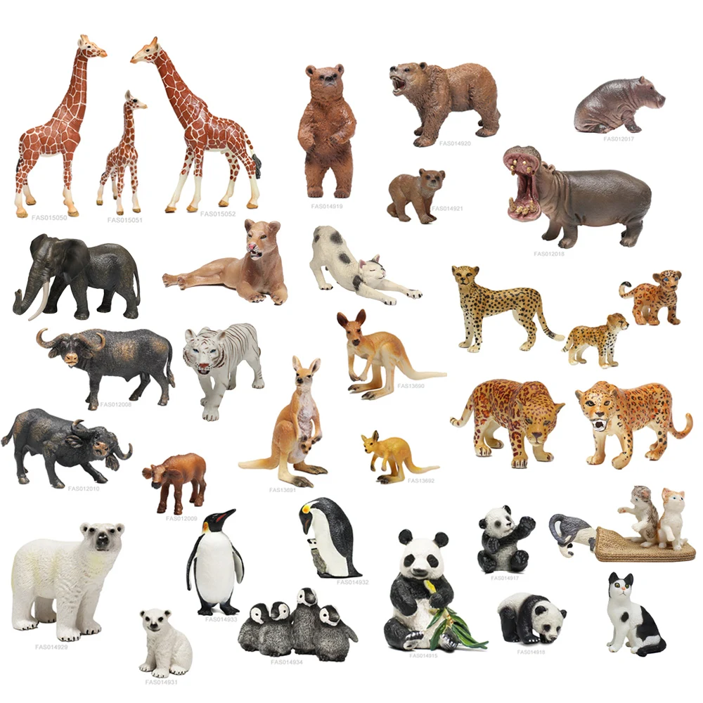 animal new--(1)