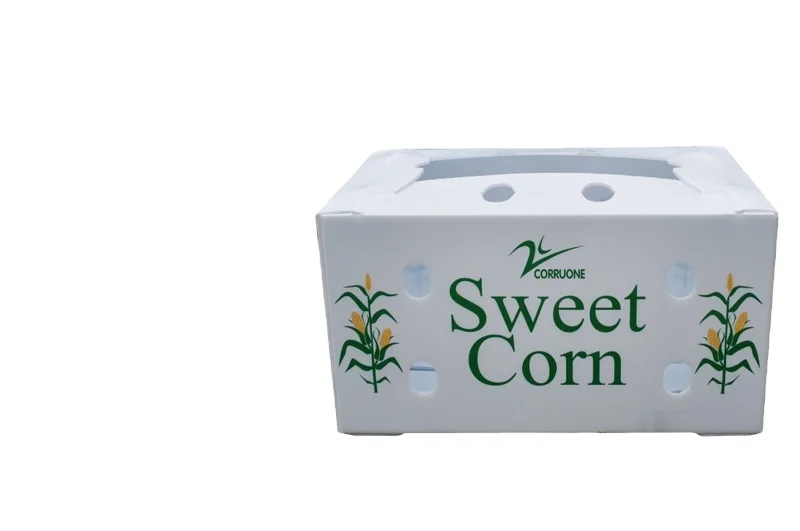 Индивидуальные высококачественные дешевые пластиковые гофрированные коробки для упаковки