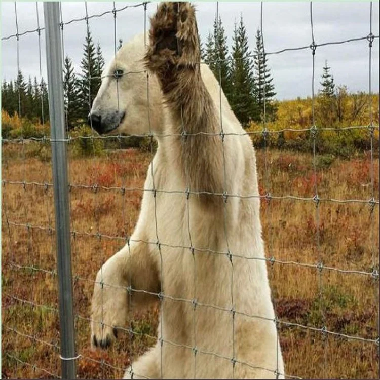 Low Price wholesale horse and goat fencing field fence farm simple soccer field fence