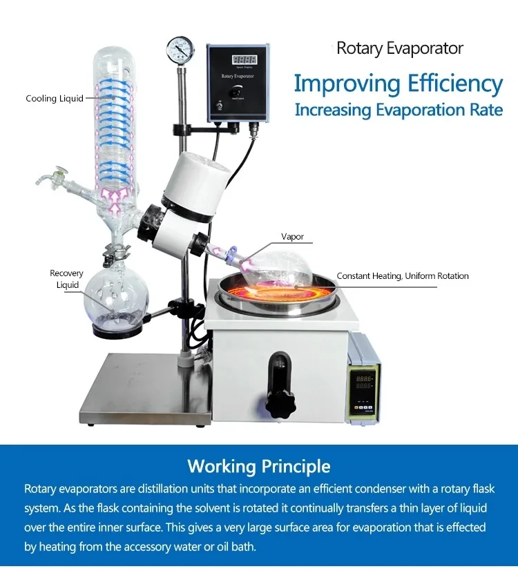 Woming Lab Equipment 1L Rotary Evaporator Distillation RE-201D
