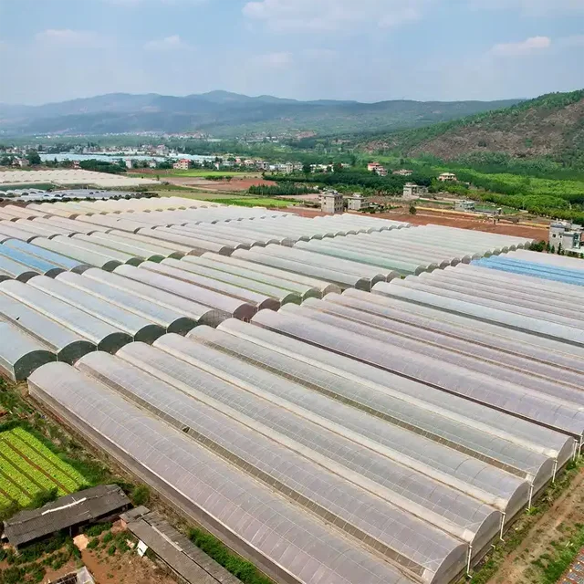 Resistant to Acid and Alkali Transparent Glass Fiber Polymer GRP Sheet FRP Roofing Trim