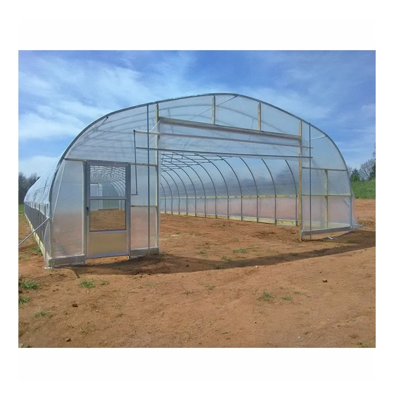 Chinese small garden greenhouse manufacturer plastic shed film tomato green house