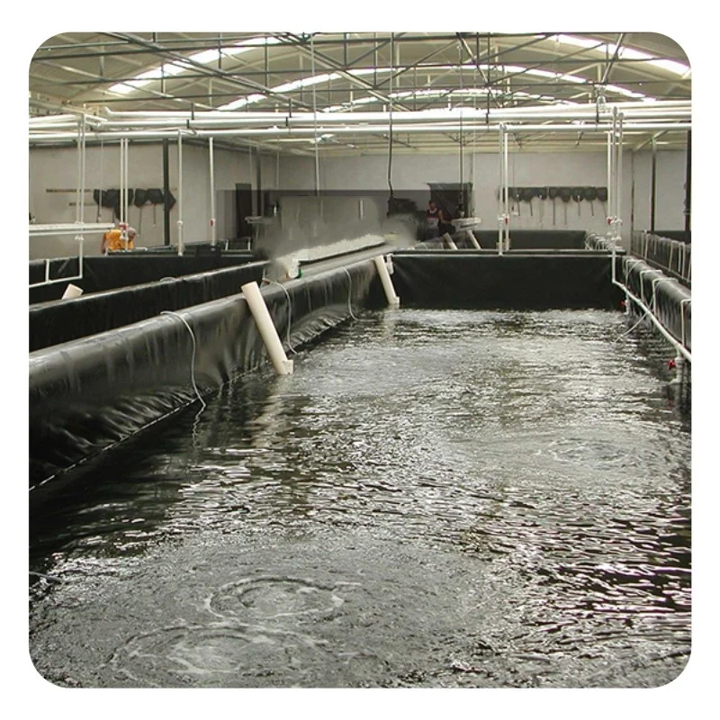 Plastic Geomembrane for Indoor Fish Ponds Farm Tank UV Resistant 500 Micron Pond Liner Manufacturer Waterproof Hdpe