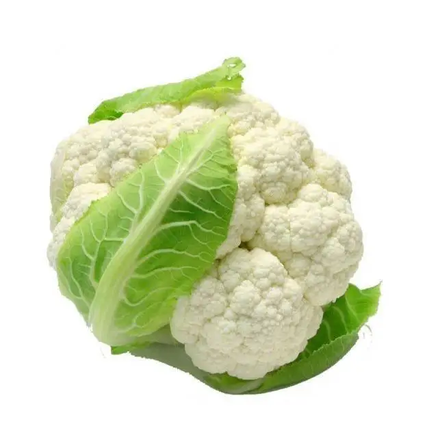 The most popular organic cauliflower, welcome to wholesale (1600525857526)