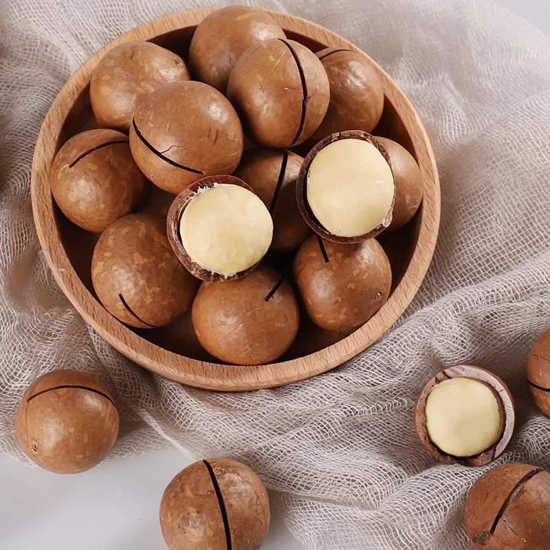 Cheap Wholesale Price Dry Roasted Macadamia Nuts With Own Planting Base and Processing Factory Raw Macadamia Nut for Shell