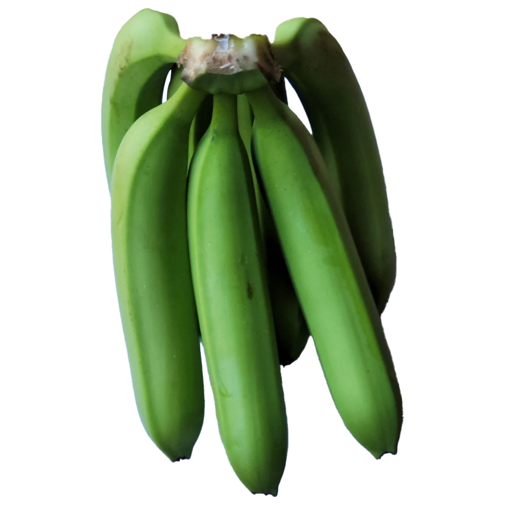 Fresh Delicious Healthy Nutrition Excellent Grade A456 Cavendish Banana Good Price Customize Accept OEM ODM Service