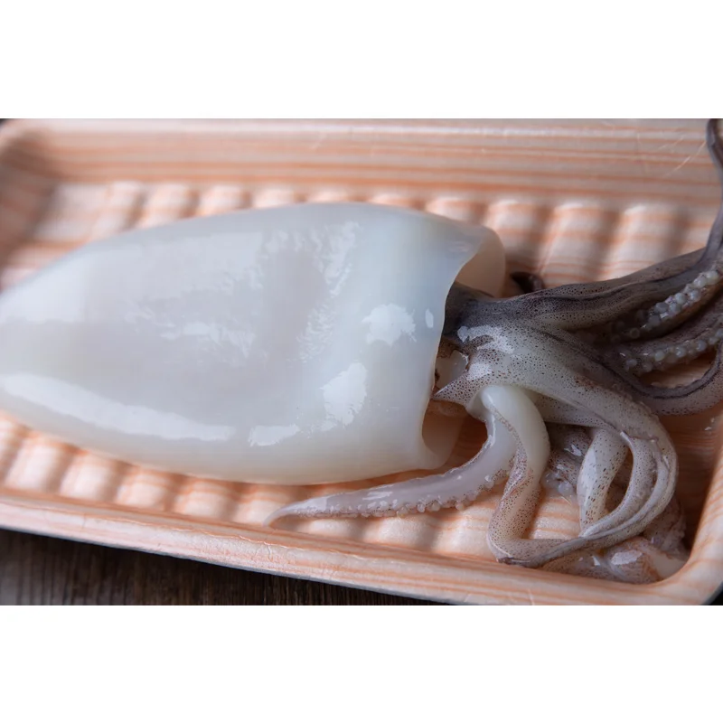 squid good price frozen loligo squid on sale  squid T+T tube/tentacle