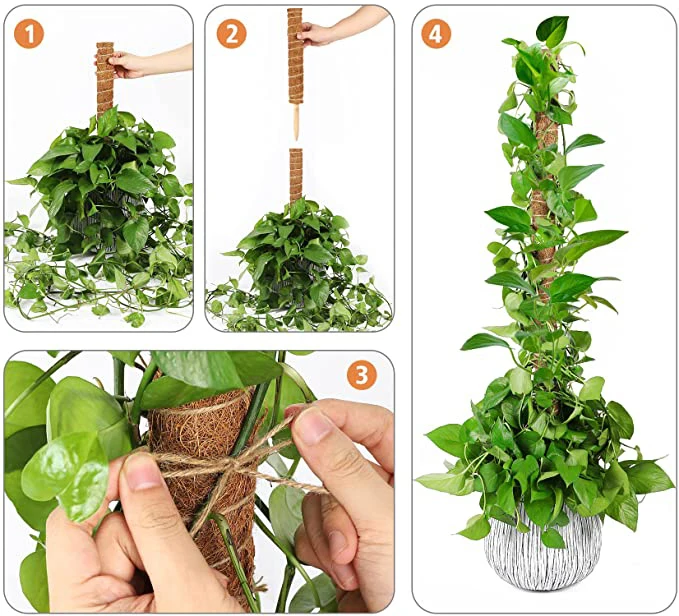 Hot Sale Professional Lower Price Sphagnum Plant Coir Moss Pole