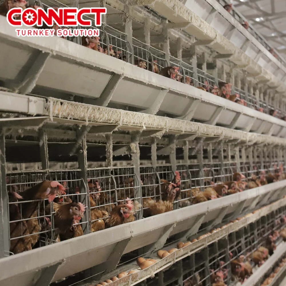 Layer Farm 7 Tier 8 Tier H Type Poultry Farm Cage Design Egg Layer Hens Cages Chicken Laying Cage For Completely Automatic