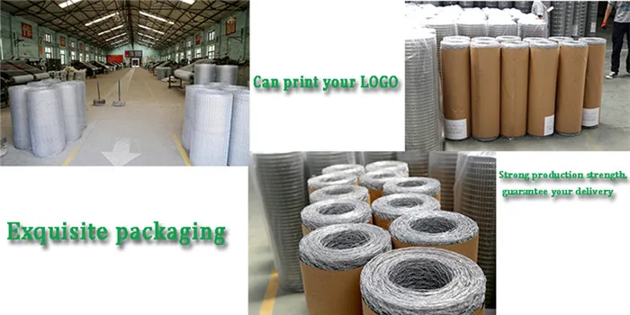 packing-Wire Mesh 700