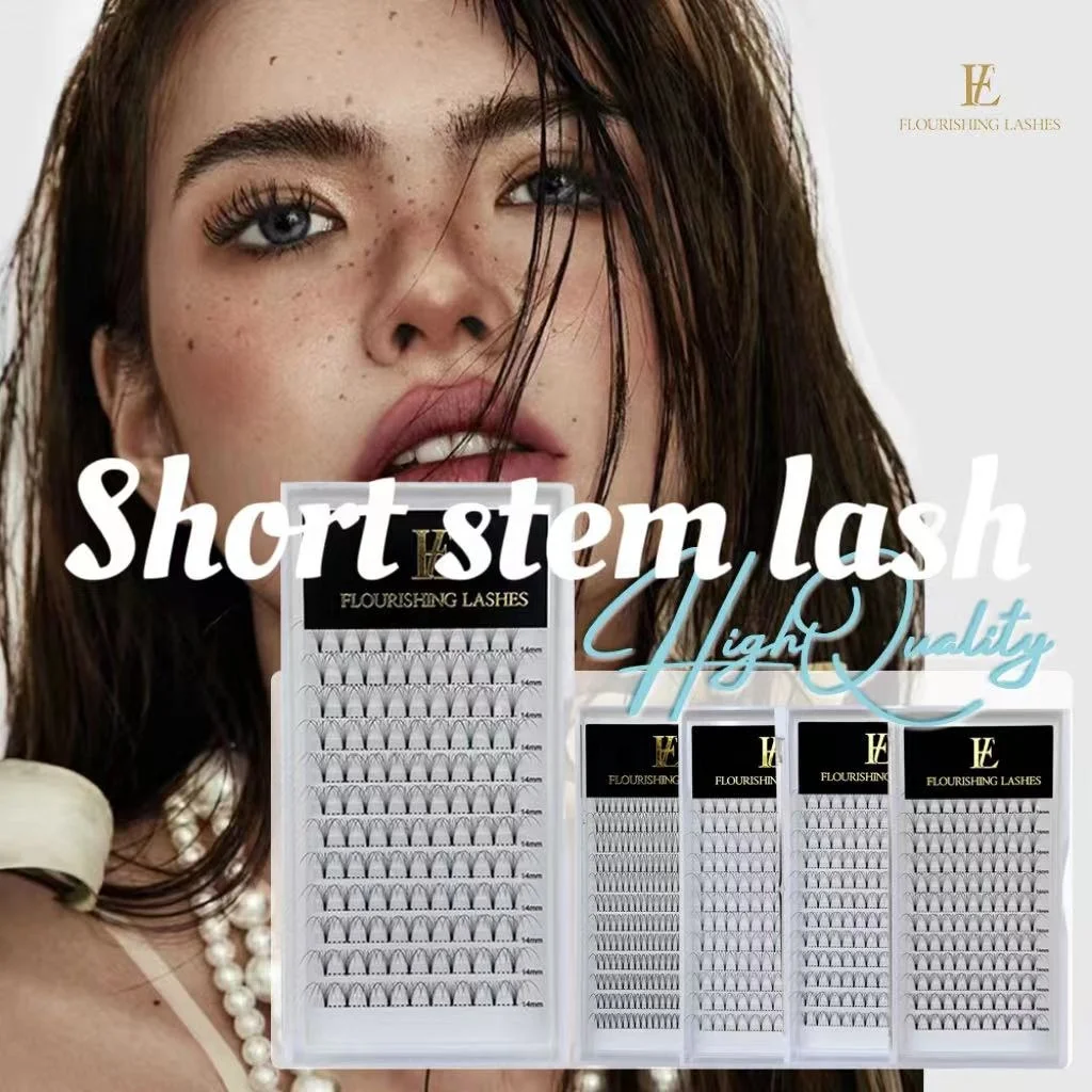 0.07mm 0.1mm Premade Fans Lashes Eyelashes False Eyelashes Samples Handmade Volume Lashes Products False Free Natural Hand Made