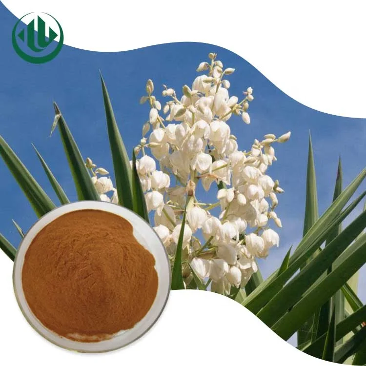 Chinese Factory Solvent Extraction Plant Liquid Yucca Schidigera Powder Extract