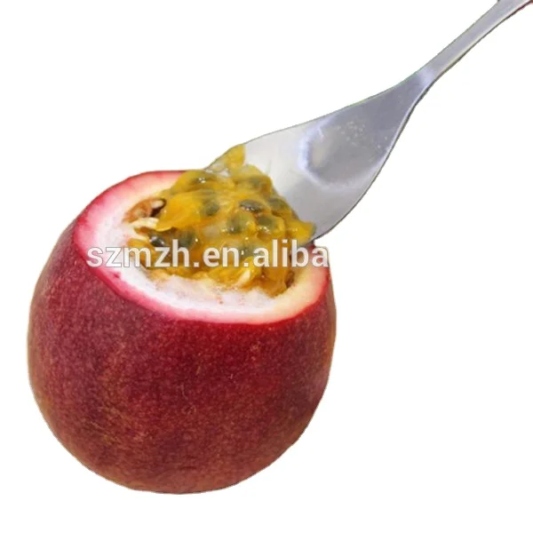 High concentrated  food flavor halal  grade liquid flavor concentrate Passionfruit flavor