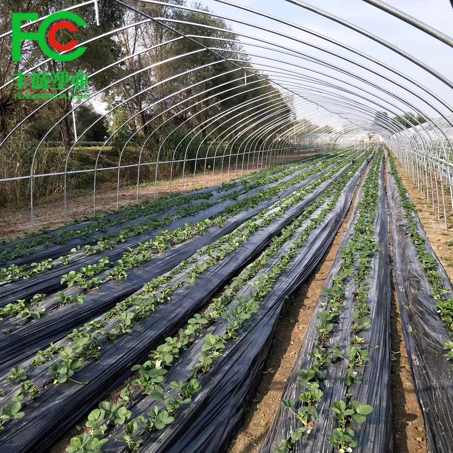 Agricultural Black Plastic Ground Cover Silver&Black Mulching Paper Greenhouse Mulch Film