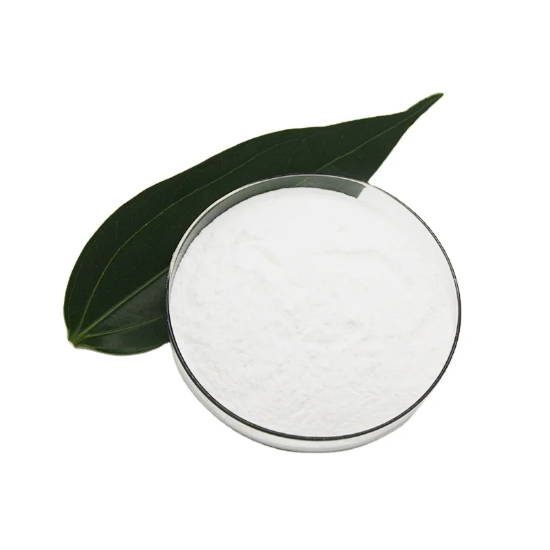 lactococcus lactis food ingredients from China freeze-dried probiotics powder original manufacturer