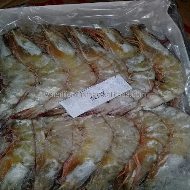 Best Selling Fresh And IQF Frozen White Shrimp From Malaysia