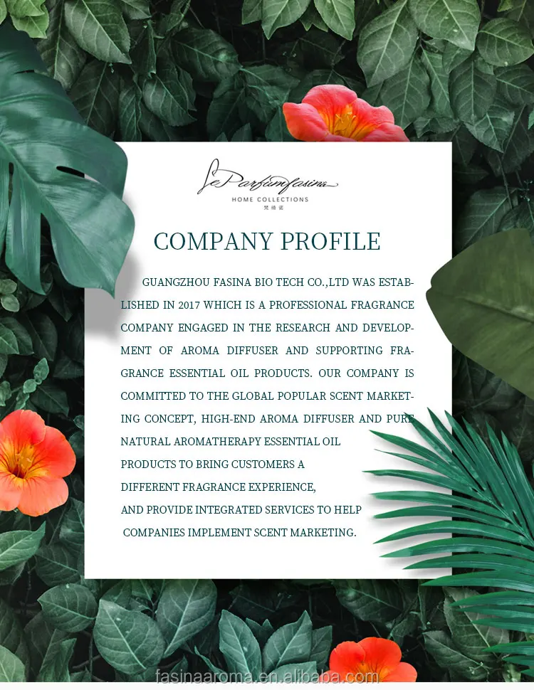 Wine Scent Aroma Essential concentrated fragrance oils Factory Direct Hot Selling france perfume oil designer perfume oil