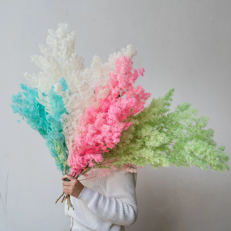 wholesale New Arrival Natural Everlasting Flowers Preserved Asparagus myrioeladus For Home Decoration