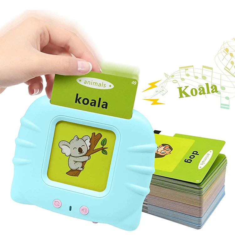 Toddler Children Customised Learning Nouns Speech Punjabi Alphabet Flashcards To Study